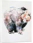Bear by Mark Adlington
