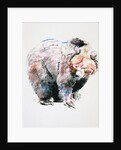 Bear by Mark Adlington