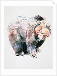 Bear by Mark Adlington