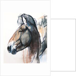 Head Study, Przewalski, 2013 by Mark Adlington