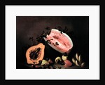 Still life of Papaya, Watermelon and Cashew by Agostino Jose da Mota