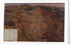 Description of Cerro Rico and the Imperial Municipality of Potosi, 1758 by Gaspar Miguel de Berrio