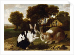 Two Rabbits in a Landscape, c.1650 by Haarlem School