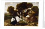 Two Rabbits in a Landscape, c.1650 by Haarlem School