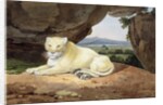 Lioness by Samuel Howitt