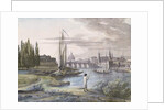 View of Dresden and the River Elbe, 1806 by C. Roes