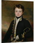 Portrait of a Midshipman by Martin Archer Shee