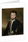 Portrait of a Midshipman by Martin Archer Shee