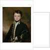 Portrait of a Midshipman by Martin Archer Shee