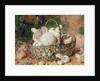 A Basket of Mushrooms, 1871 by Jabez Bligh