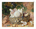 A Basket of Mushrooms, 1871 by Jabez Bligh
