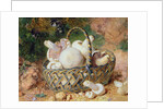 A Basket of Mushrooms, 1871 by Jabez Bligh