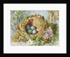 A Nest of Eggs, 1871 by Jabez Bligh