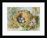 A Nest of Eggs, 1871 by Jabez Bligh