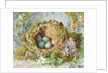 A Nest of Eggs, 1871 by Jabez Bligh