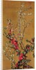 Japanese Cherry Tree and Hawthorn Branches by Jean Benner