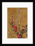 Japanese Cherry Tree and Hawthorn Branches by Jean Benner