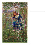 The Briar Wood by Woodbine K. Hinchliff