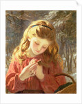 A New Friend, 19th century by Sophie Anderson