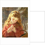 A New Friend, 19th century by Sophie Anderson