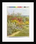 A Herbaceous Border by Helen Allingham