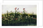 Poppies, Daisies and Thistles on a River Bank by Andrew Nicholl