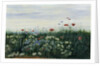 Poppies, Daisies and other Flowers by the Sea by Andrew Nicholl