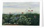 Poppies, Daisies and other Flowers by the Sea by Andrew Nicholl