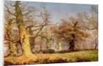 Oak Trees in Sherwood Forest, 1877 by Andrew MacCallum