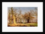 Oak Trees in Sherwood Forest, 1877 by Andrew MacCallum