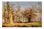 Oak Trees in Sherwood Forest, 1877 by Andrew MacCallum