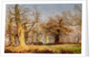 Oak Trees in Sherwood Forest, 1877 by Andrew MacCallum