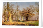 Oak Trees in Sherwood Forest, 1877 by Andrew MacCallum