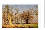 Oak Trees in Sherwood Forest, 1877 by Andrew MacCallum