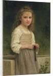 Innocence, 1898 by William-Adolphe Bouguereau