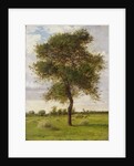 Study of an Ash Tree in Summer, 1883 by James Hey Davies