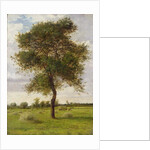 Study of an Ash Tree in Summer, 1883 by James Hey Davies