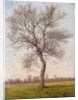 Study of an Ash Tree in Winter, 1883 by James Hey Davies