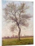 Study of an Ash Tree in Winter, 1883 by James Hey Davies