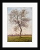 Study of an Ash Tree in Winter, 1883 by James Hey Davies