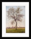 Study of an Ash Tree in Winter, 1883 by James Hey Davies