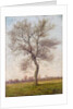 Study of an Ash Tree in Winter, 1883 by James Hey Davies