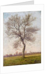 Study of an Ash Tree in Winter, 1883 by James Hey Davies