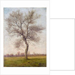 Study of an Ash Tree in Winter, 1883 by James Hey Davies