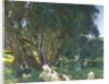 Albanian Olive Gatherers, 1909 by John Singer Sargent