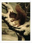 A Red Squirrel Eating a Nut by Basil Bradley