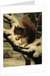 A Red Squirrel Eating a Nut by Basil Bradley