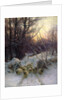 The Sun had closed the Winter Day, 1904 by Joseph Farquharson