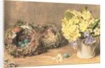 Spring Flowers and Birds' Nests, c.1830 by William Henry Hunt