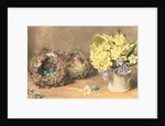 Spring Flowers and Birds' Nests, c.1830 by William Henry Hunt